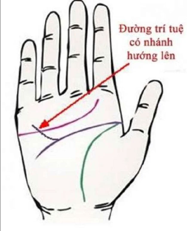 Có những nét tướng nay bảo sao dễ thăng tiến, đi đến đâu may mắn đến đó hậu vận giàu sang tiền tiêu không bao giờ hết-2