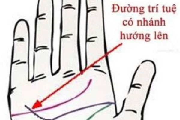 Tuần tới 3 con giáp dưới đây có vận trình may mắn, tài lộc vượng phát làm gì cũng hanh thông thuận lợi-4