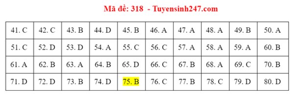 Đáp án đề thi tốt nghiệp THPT 2020 môn Địa lý (24 mã đề)-1