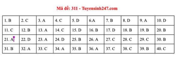 Đáp án đề thi môn Lịch sử tốt nghiệp THPT Quốc gia 2020 (24 mã đề)-4