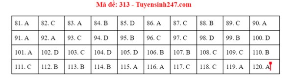 Đáp án đề thi tốt nghiệp THPT 2020 môn GDCD (24 mã đề)-7