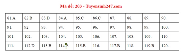 Đáp án đề thi tốt nghiệp THPT Quốc gia 2020 môn Sinh (24 mã đề)-1