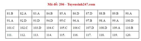 Đáp án đề thi tốt nghiệp THPT Quốc gia 2020 môn Sinh (24 mã đề)-3