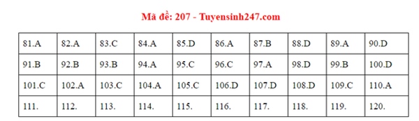 Đáp án đề thi tốt nghiệp THPT Quốc gia 2020 môn Sinh (24 mã đề)-4