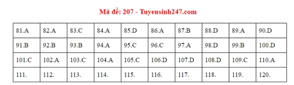 Đáp án đề thi tốt nghiệp THPT Quốc gia 2020 môn Sinh (24 mã đề)-4