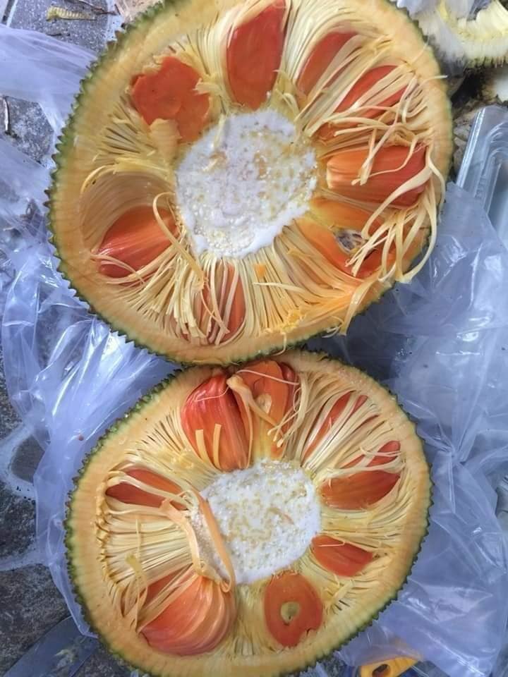 Lạ miệng mít ruột đỏ múi to dày, thơm ngọt giá 120.000 đồng/kg vẫn hút khách-3