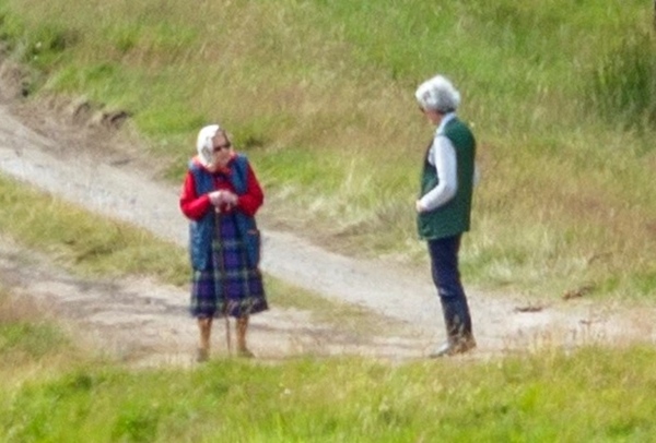 Thực hư về cuộc gọi video của Nữ hoàng Anh với Meghan Markle, cấm cô vĩnh viễn không được bước chân vào hoàng gia Anh-2