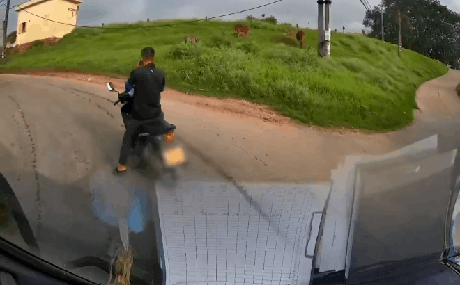 CLIP: Cuộc điện thoại ngang trái và người đàn ông dở chứng khiến tài xế xe tải đau đầu-1