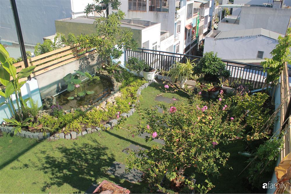 Sân thượng bê tông 40m² biến hình thành khu vườn xanh mát chỉ với 23 triệu đồng ở Đà Nẵng-1