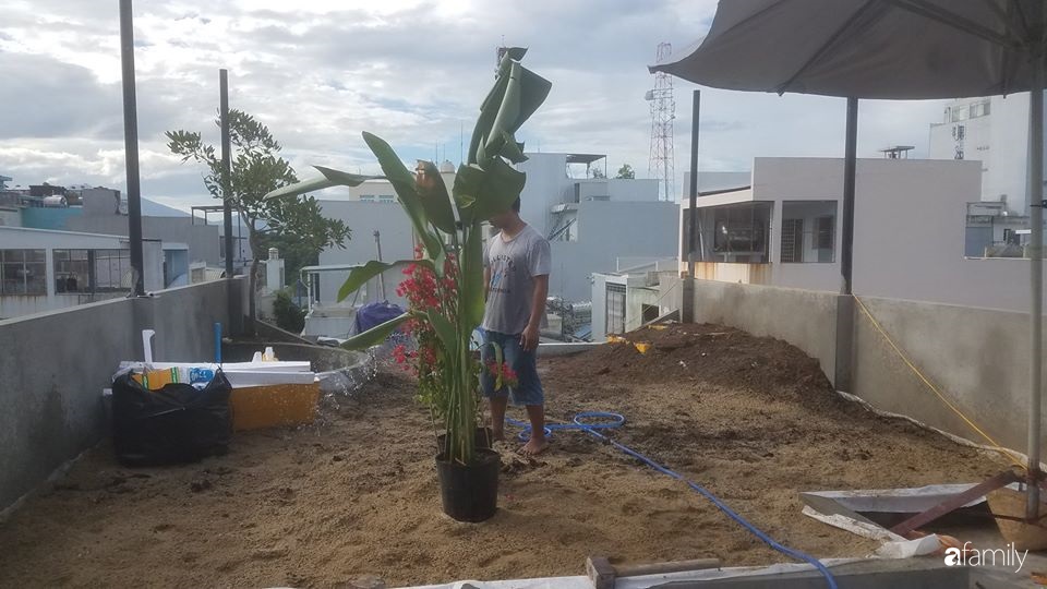Sân thượng bê tông 40m² biến hình thành khu vườn xanh mát chỉ với 23 triệu đồng ở Đà Nẵng-2
