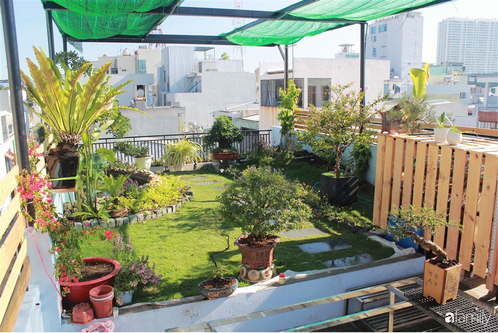 Sân thượng bê tông 40m² biến hình thành khu vườn xanh mát chỉ với 23 triệu đồng ở Đà Nẵng-4