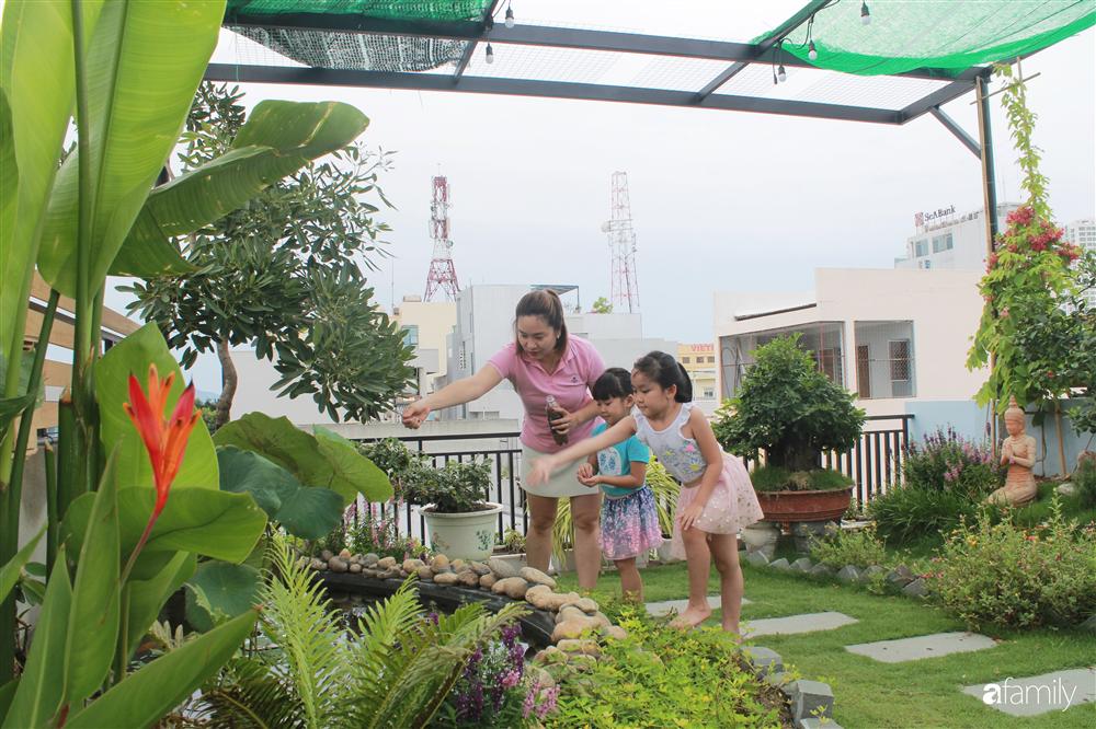 Sân thượng bê tông 40m² biến hình thành khu vườn xanh mát chỉ với 23 triệu đồng ở Đà Nẵng-6