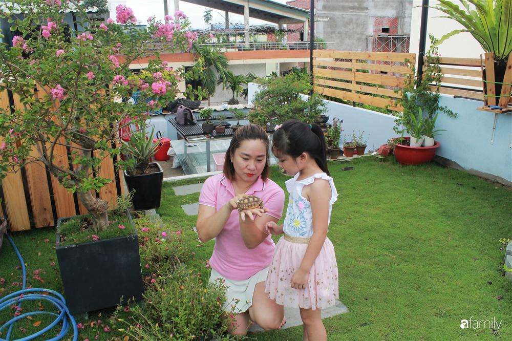 Sân thượng bê tông 40m² biến hình thành khu vườn xanh mát chỉ với 23 triệu đồng ở Đà Nẵng-11