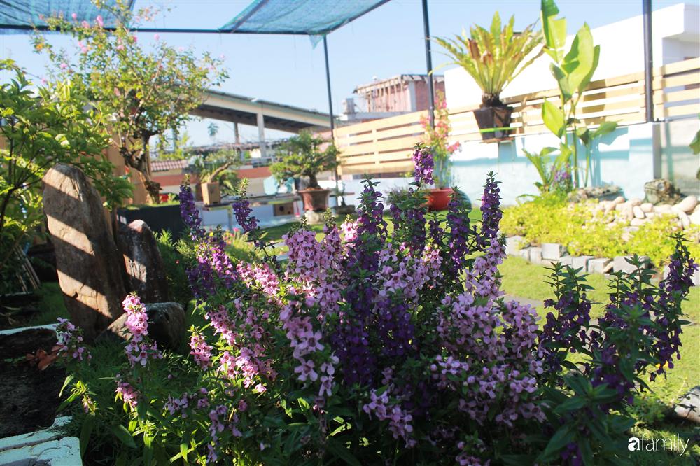 Sân thượng bê tông 40m² biến hình thành khu vườn xanh mát chỉ với 23 triệu đồng ở Đà Nẵng-13