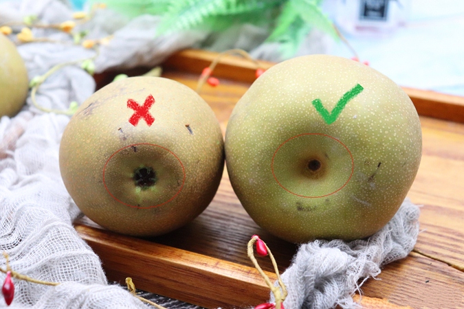 Mùa lê chín, bạn đã biết cách chọn lê chuẩn 10 quả giòn ngọt cả 10 chưa?-2