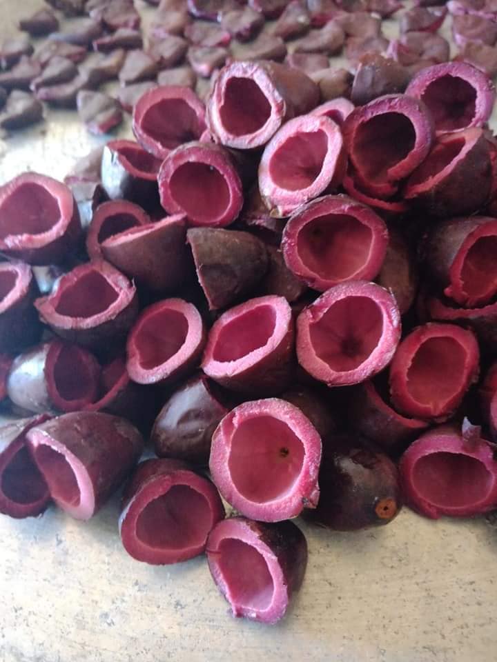 Trám đen Cao Bằng đắt gấp 4 lần trám trắng, giá 175k/kg vẫn đắt khách thành phố mua vì lạ miệng-7