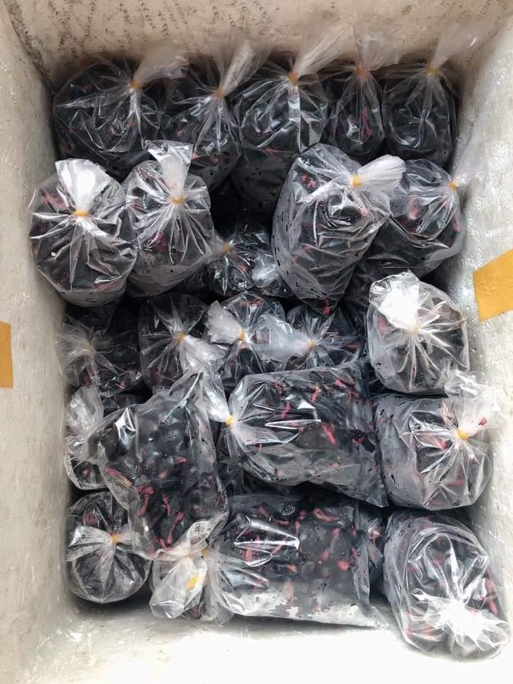 Trám đen Cao Bằng đắt gấp 4 lần trám trắng, giá 175k/kg vẫn đắt khách thành phố mua vì lạ miệng-8