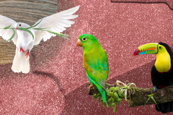 Từ thất tịch 7/7 âm lịch: 3 con giáp này đón hỷ tín vào nhà, tiền bạc lúc nào cũng nhiều không đếm hết-3