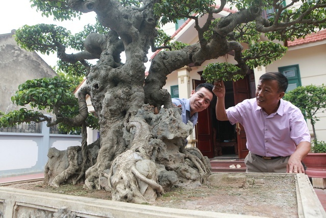 Sanh cổ tân cổ giao duyên, đại gia trả 10 tỷ đồng vẫn không mua được-2