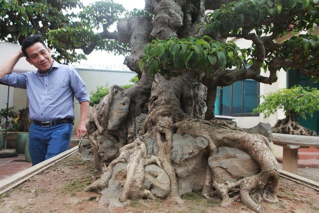 Sanh cổ tân cổ giao duyên, đại gia trả 10 tỷ đồng vẫn không mua được-6