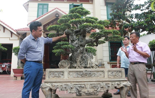 Sanh cổ tân cổ giao duyên, đại gia trả 10 tỷ đồng vẫn không mua được-7