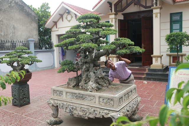 Sanh cổ tân cổ giao duyên, đại gia trả 10 tỷ đồng vẫn không mua được-8