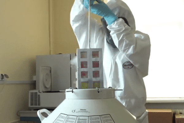 Tổng thống Putin: Vaccine phòng Covid-19 của Nga hiệu quả và an toàn-2