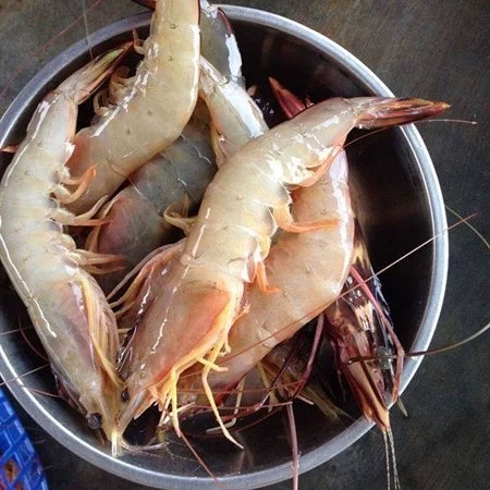 Cách chọn 4 loại tôm chuẩn nhất dành cho các chị em nội trợ sành ăn-3