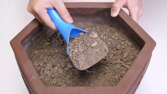 Đừng vứt chai nước giặt sau khi dùng hết, hãy tái chế thành vật dụng rất hữu ích thế này-20