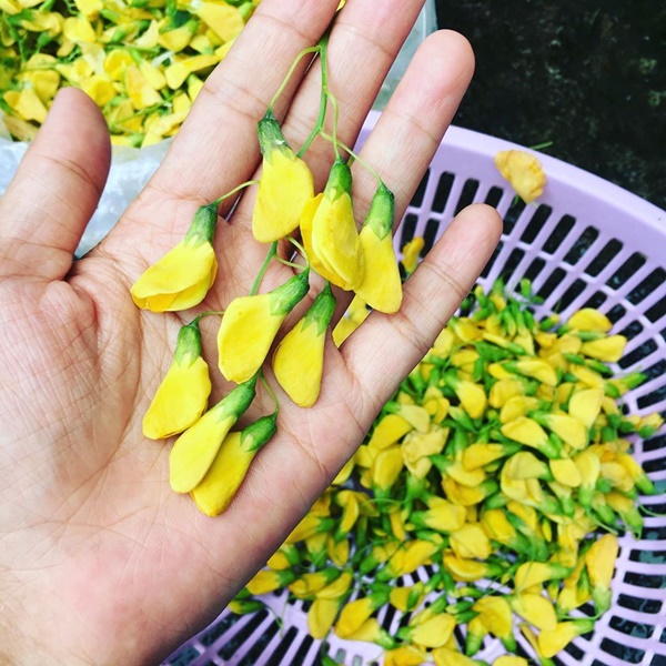 Rửa rau ai cũng nghĩ dễ ợt thế nhưng có những điều hầu hết chúng ta còn lơ mơ lắm!-7