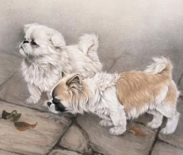 Trước cuối tháng 8, 3 con giáp hút trọn lộc trời bất ngờ ăn nên làm ra, cuối năm cuộc sống sung túc, khó khăn tài chính được tháo gỡ-2