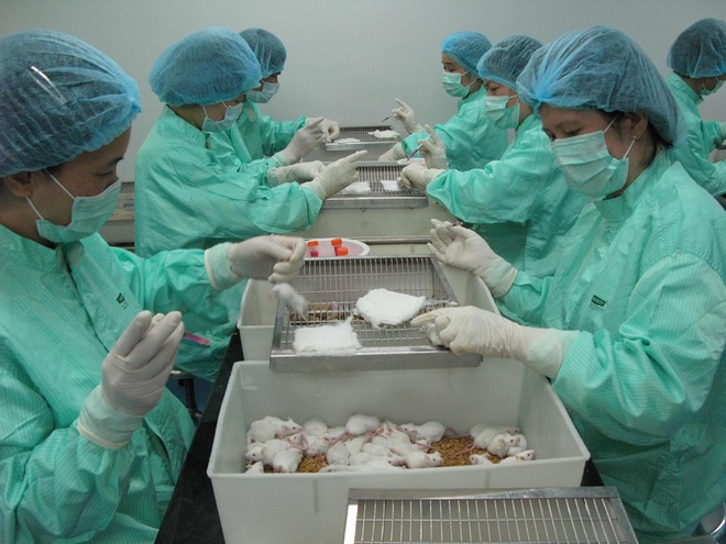 Tiến độ vaccine Covid-19 ở Việt Nam-1