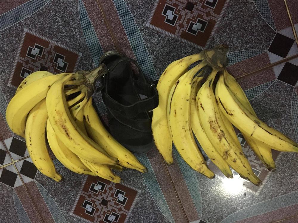 Ngỡ ngàng trước giống chuối siêu to khổng lồ” đặc biệt tại Việt Nam, mỗi quả nặng gần 1kg giá chỉ 9.000 đồng/quả-1