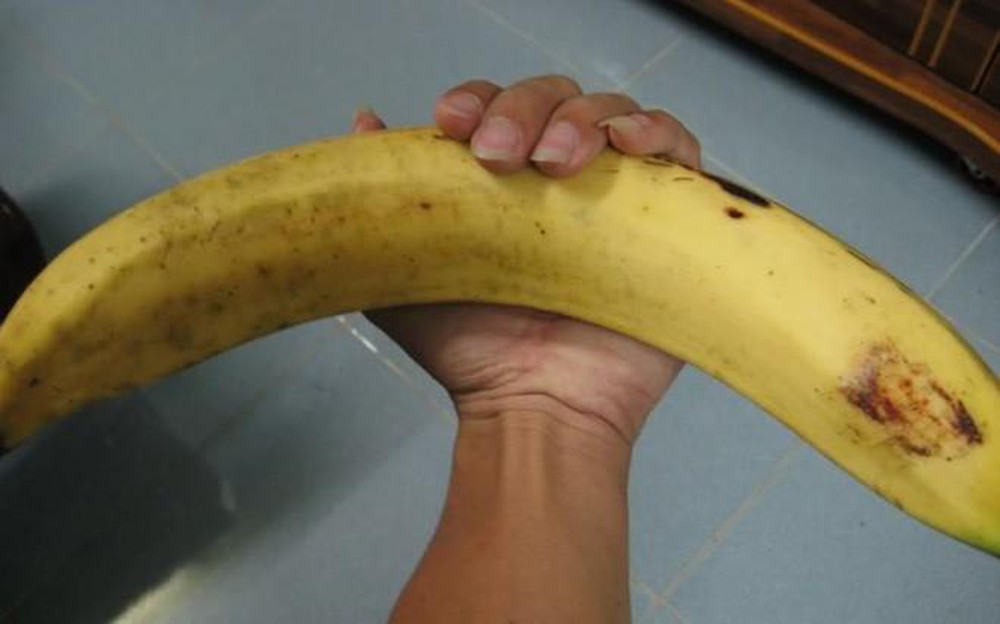 Ngỡ ngàng trước giống chuối siêu to khổng lồ” đặc biệt tại Việt Nam, mỗi quả nặng gần 1kg giá chỉ 9.000 đồng/quả-4