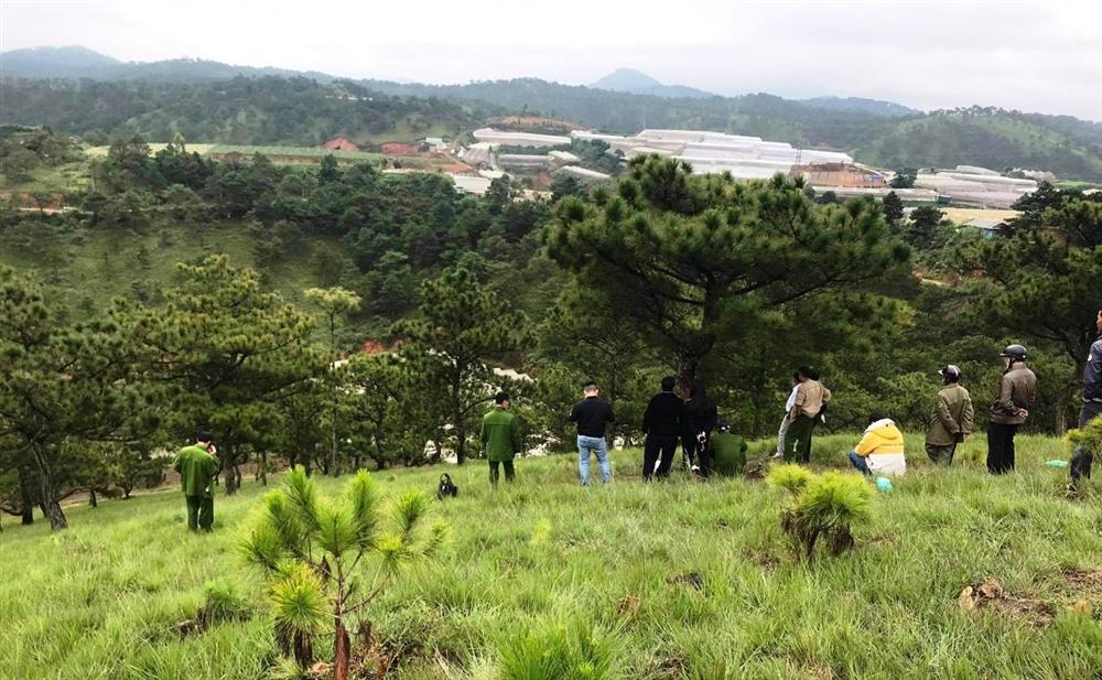 Đà Lạt: Phát hiện thi thể cô gái và thư tuyệt mệnh cạnh cây thông cô đơn-2