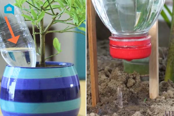 6 cách tẩy vết mốc lâu ngày trên quần áo màu đơn giản mà hiệu quả-7