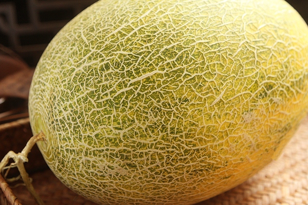 Bỏ tiền ra mua dưa lưới mà không biết những mẹo chọn dưa ngon&nbsp;thì thật quá thiếu sót!-1