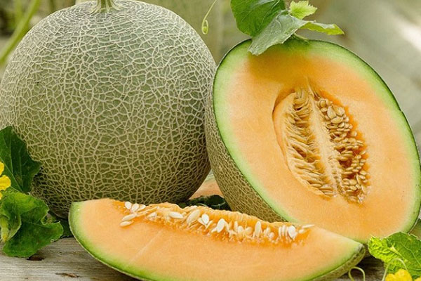 Mẹo cực hay khi nấu ăn: Tách lòng đỏ trứng, mài dao, khử mùi tủ lạnh dễ như ăn kẹo-12