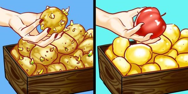 Mẹo cực hay khi nấu ăn: Tách lòng đỏ trứng, mài dao, khử mùi tủ lạnh dễ như ăn kẹo-5