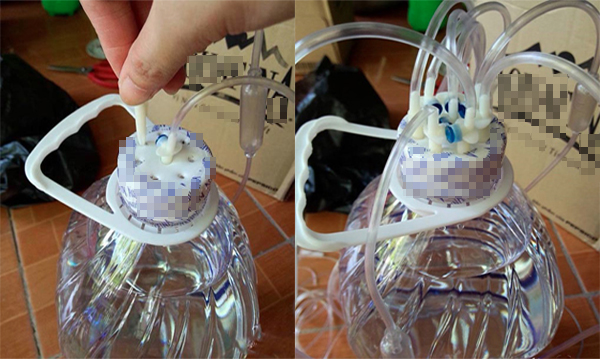 Vắng nhà cả tuần, chỉ cần 1 chai nhựa và thêm vài thao tác đơn giản, cây cối bỏ không vẫn tươi-3