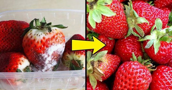 Mẹo cực hay khi nấu ăn: Tách lòng đỏ trứng, mài dao, khử mùi tủ lạnh dễ như ăn kẹo-8