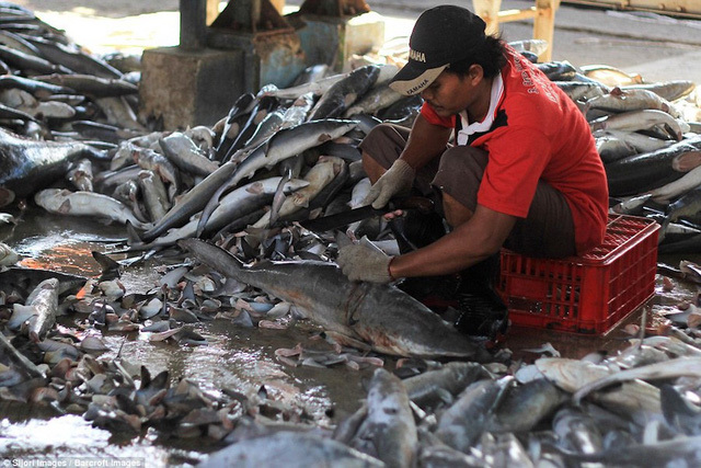 Sự tàn bạo đẫm máu sau bát súp giá 2 triệu đồng-6