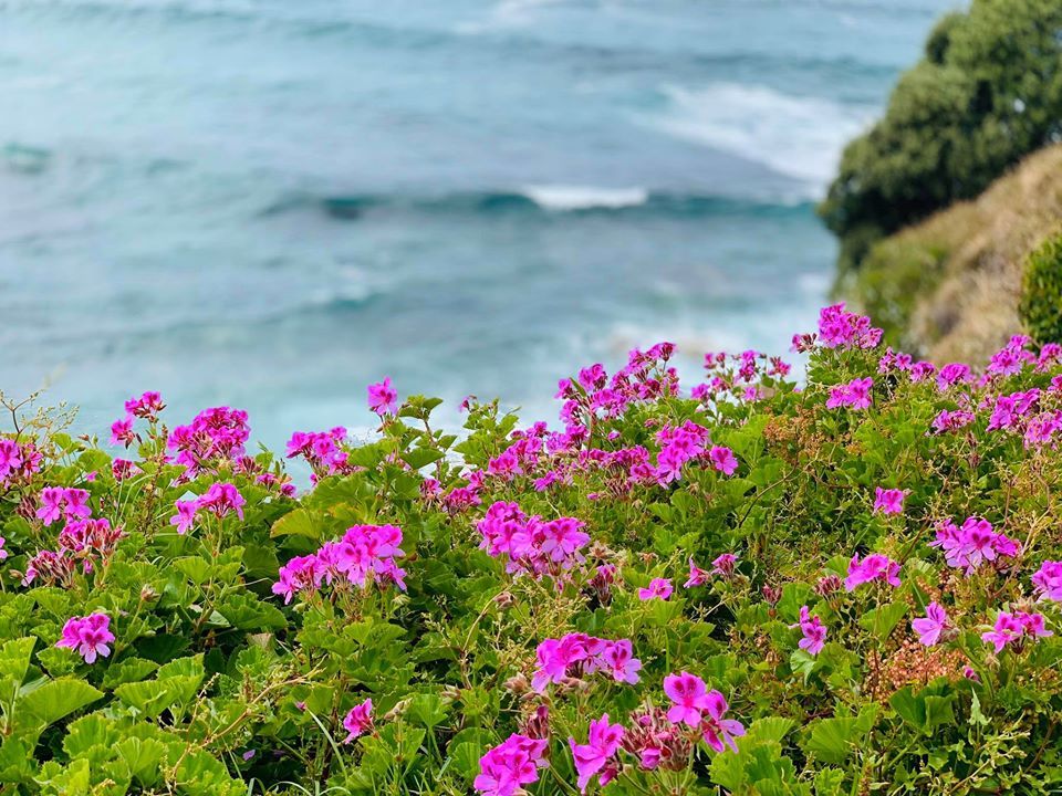 Sau tiệc sinh nhật, nữ sinh bàng hoàng biết sự thật về người chị tốt bụng-1