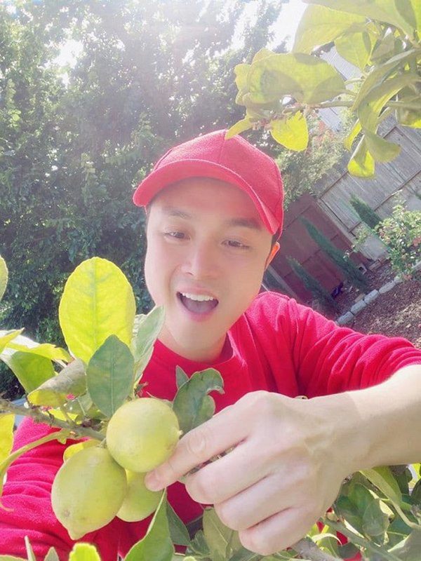 Vừa về được nhà, Nhật Tinh Anh khoe khu vườn trong biệt thự triệu đô ở Mỹ-9