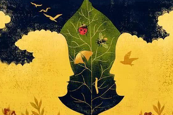 Tử vi cuối tuần này (15-16/8/2020): 3 con giáp khổ tận cam lai, ngồi rung đùi hưởng tài lộc-4