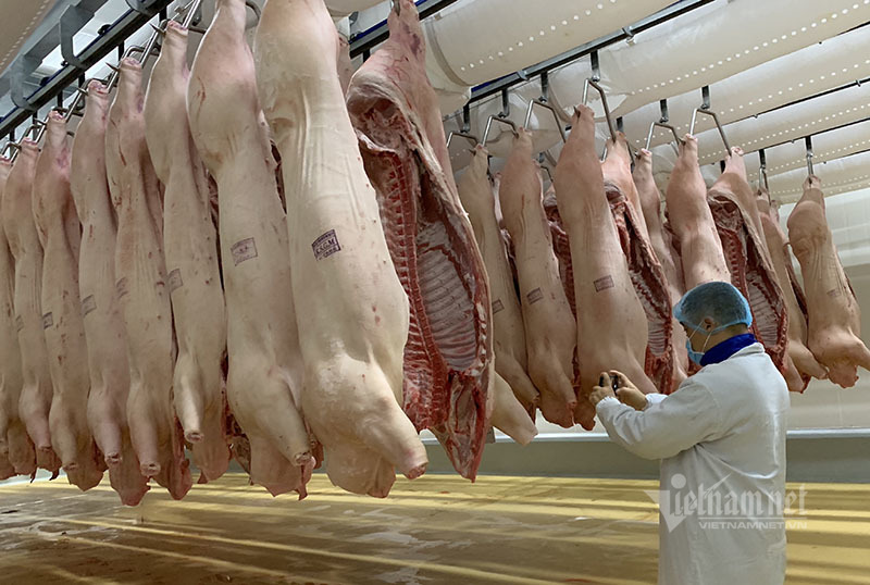 Giá thịt lợn giảm mạnh, bán không lấy lãi lo đẩy hàng sớm-2