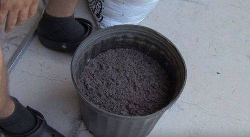 Lạ đời cách trồng cà chua thái miếng chỉ mất vài phút, sau được cả vườn cà chua sai trĩu-2