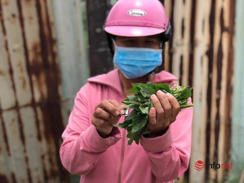 Xót lòng nhìn bữa cơm canh rau dại của người lao động nghèo mắc kẹt ở Đà Nẵng-3