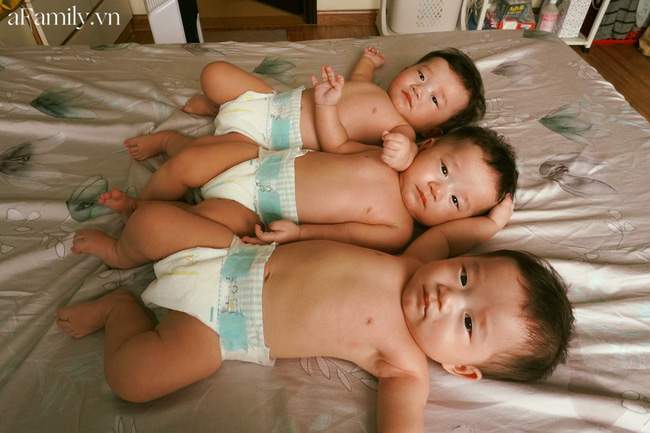 Tan chảy với những khoảnh khắc đáng yêu của 3 nhóc sinh ba cùng trứng giống nhau như in, xứng danh Daehan, Minguk, Manse phiên bản Việt-10