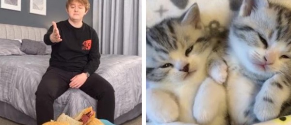 10 phút lướt TikTok, một thế giới kinh hoàng hiện ra: Bạo lực, tình dục và những nội dung xấu đội lốt video vô hại-1